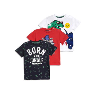 Boys Multicolor Printed T-shirt (Pack of 3)